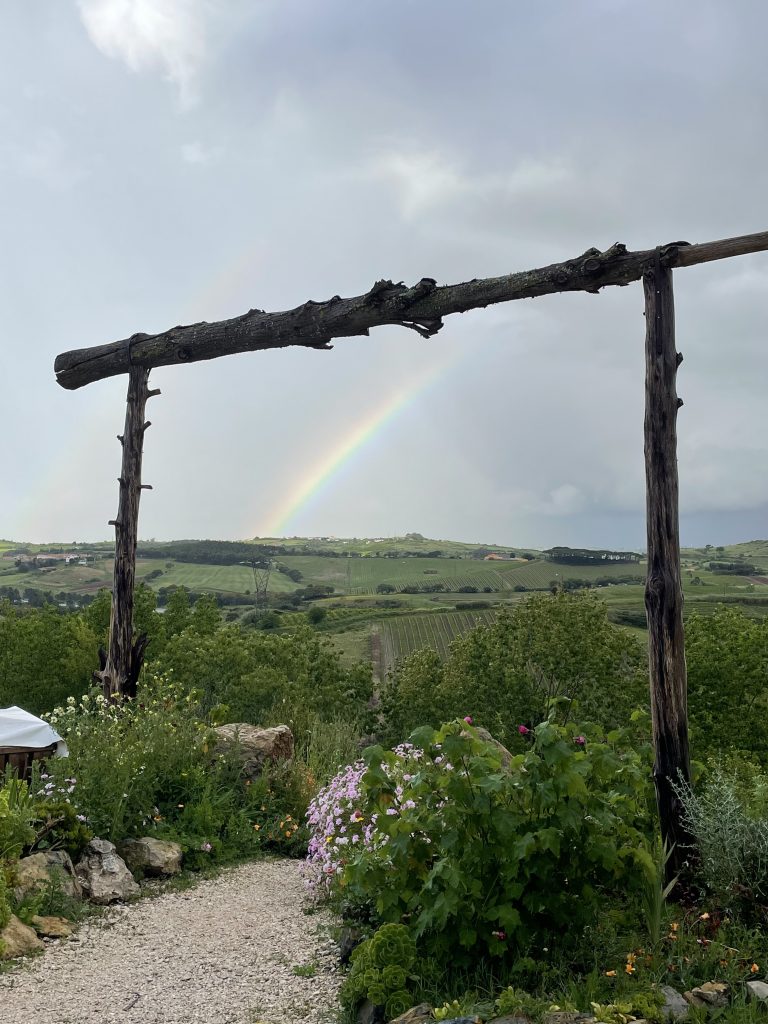 regenboog