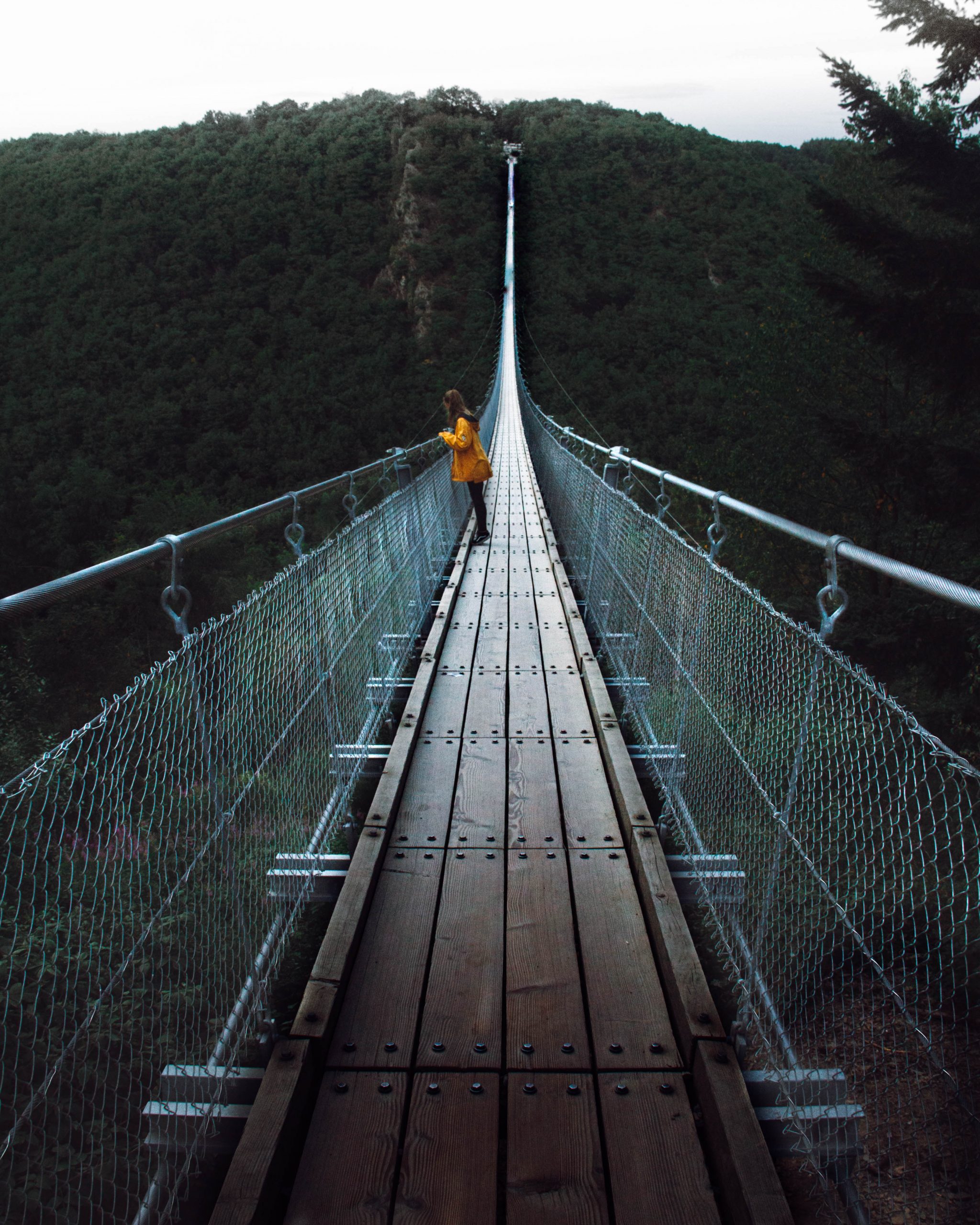 Geierlay: de langste hangbrug van Duitsland.