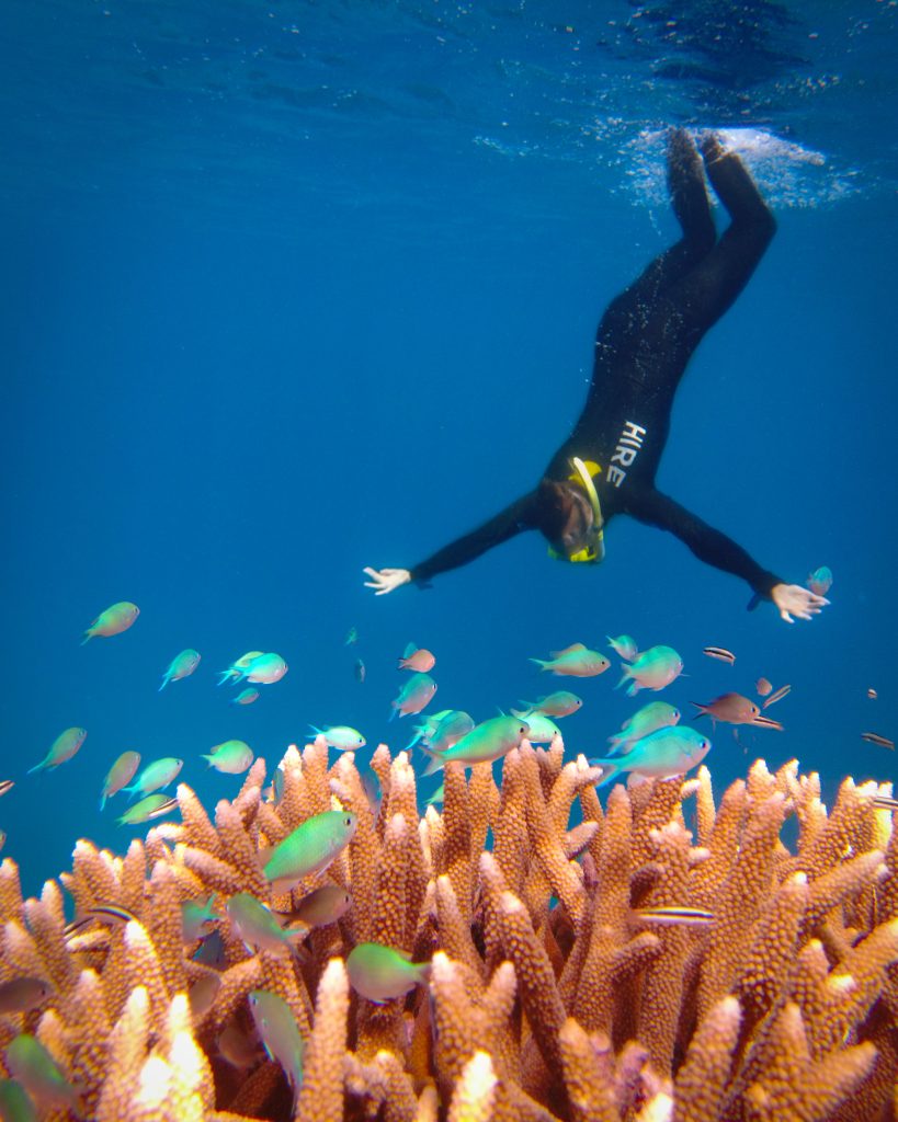 Great Barrier Reef snorkeling
