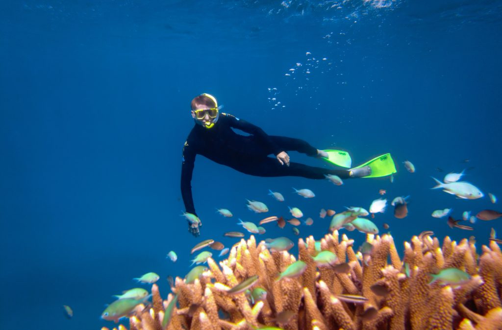 Great Barrier Reef snorkeling