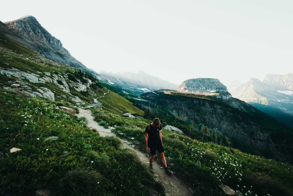 Glacier Highline Trail