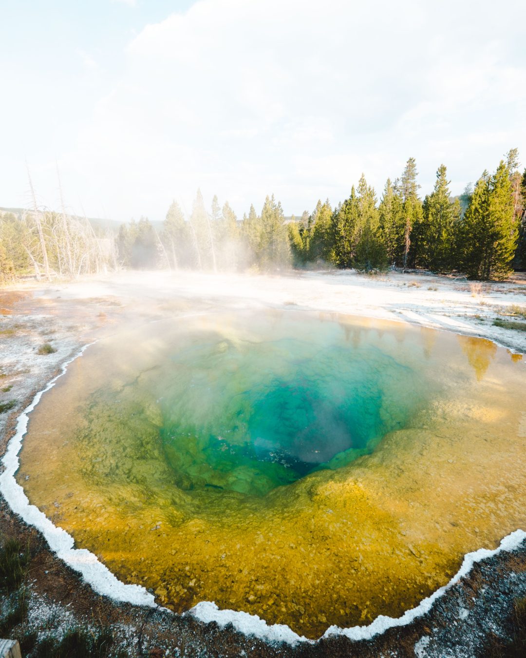 Yellowstone Morning Glory Pool