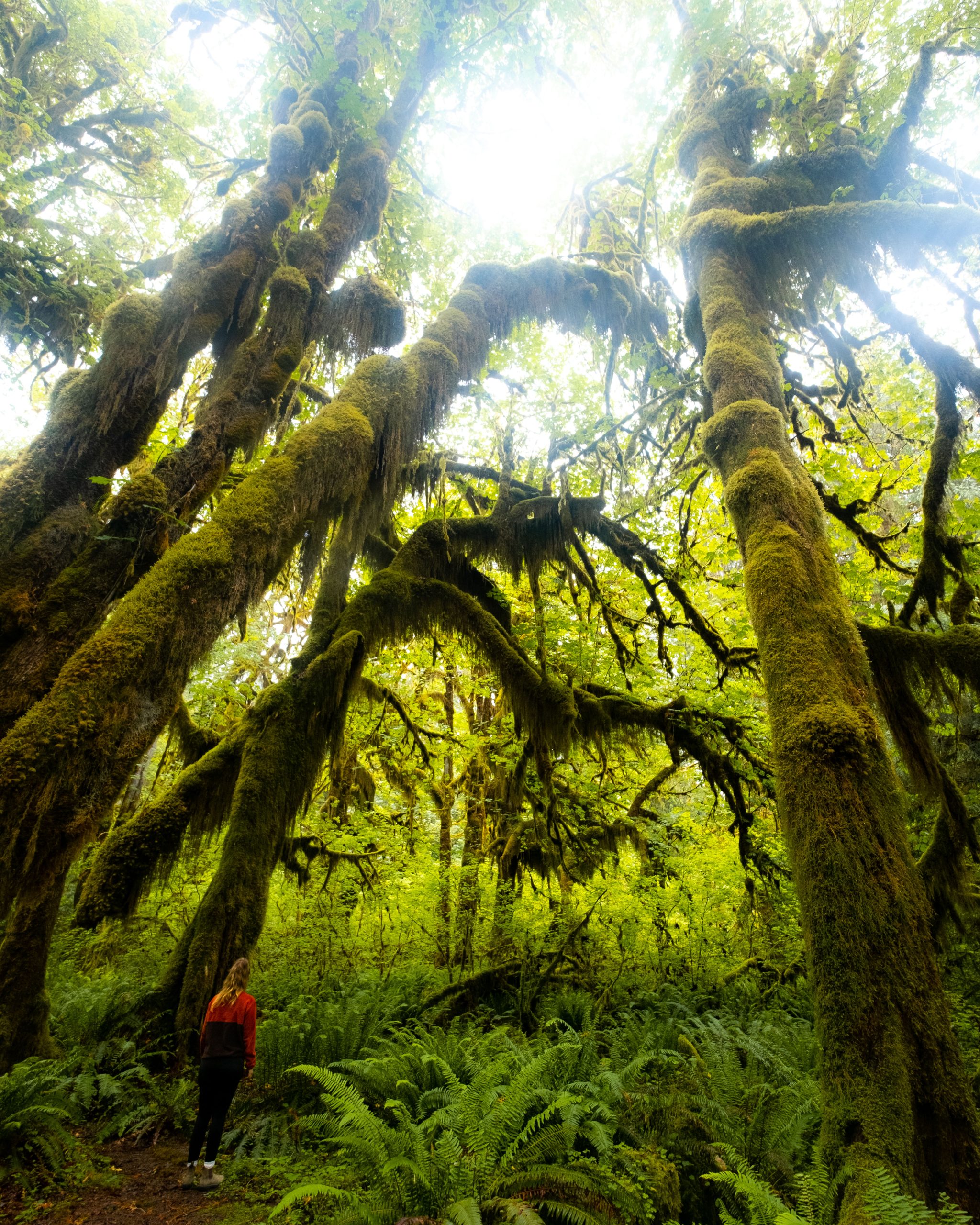 Olympic National Park