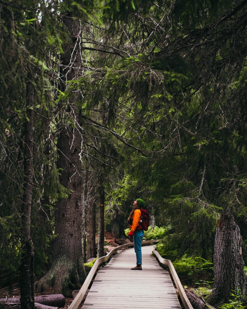 Fulufjället