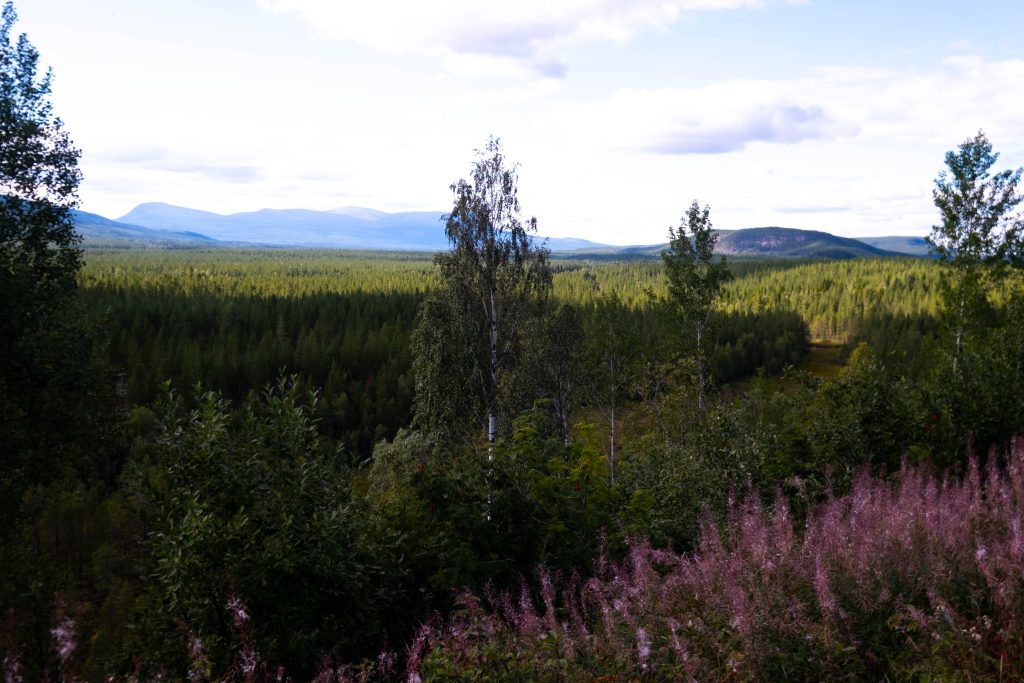 Fulufjället