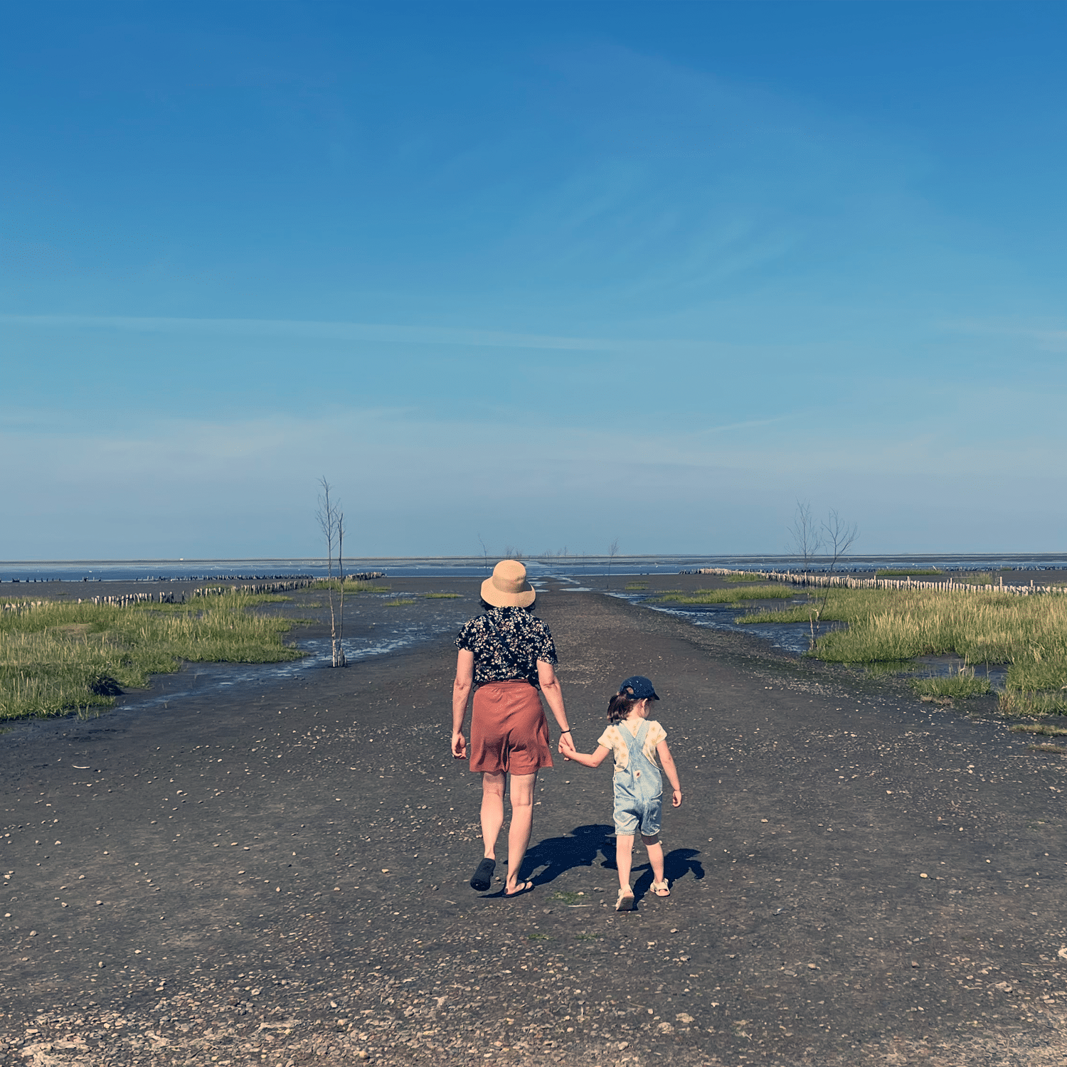 Wadlopen Denemarken - De Wereldtrein