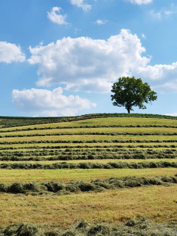 Huldenberg, bijna Toscane