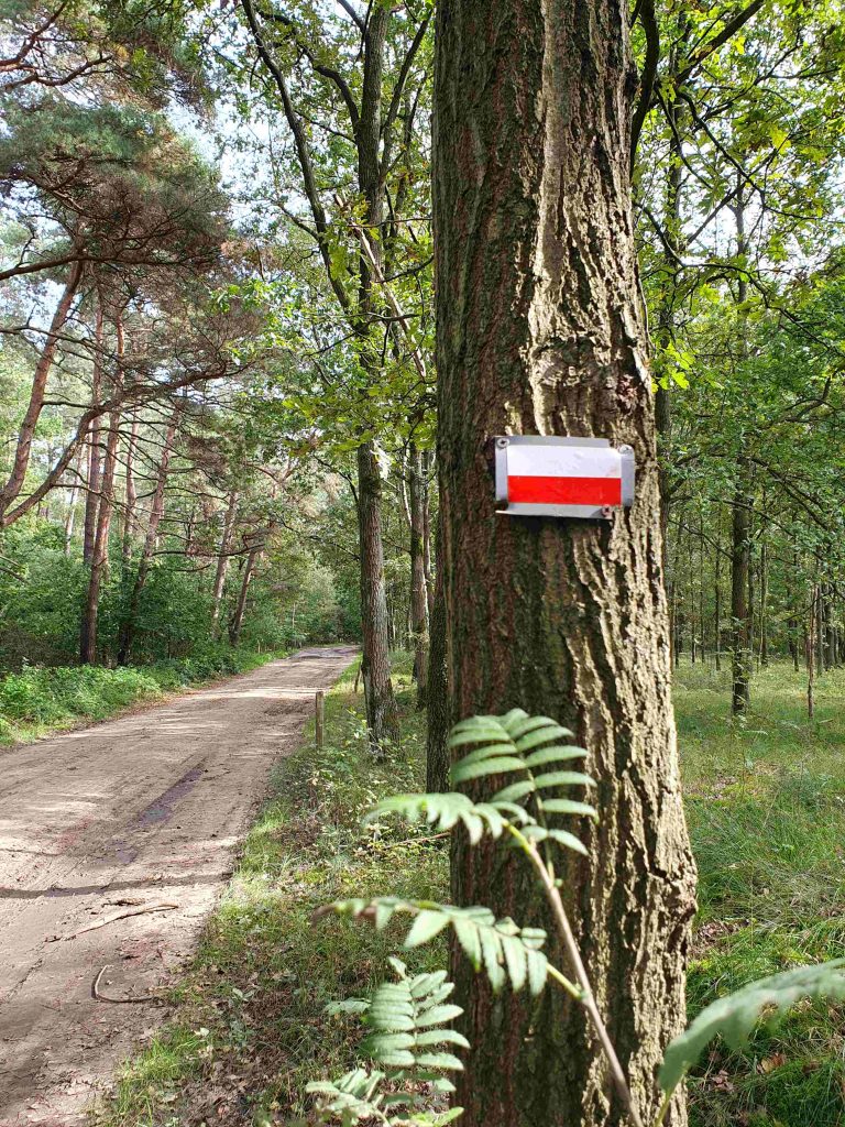 Je loopt een stuk van de GR 561 tijdens deze wandeling in de omgeving van Meerhout.
