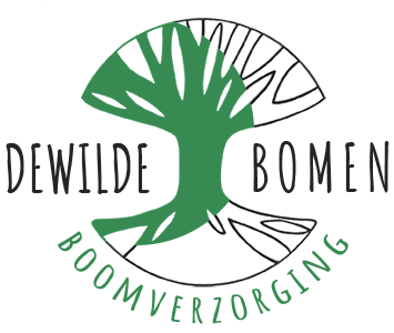 Dewildebomen Boomverzorging regio Antwerpen