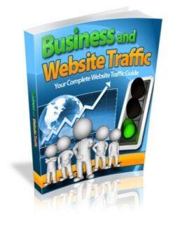 Business And Website Traffic