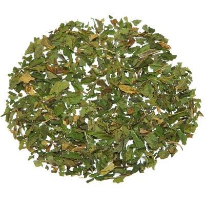 MINT by MURAQSH