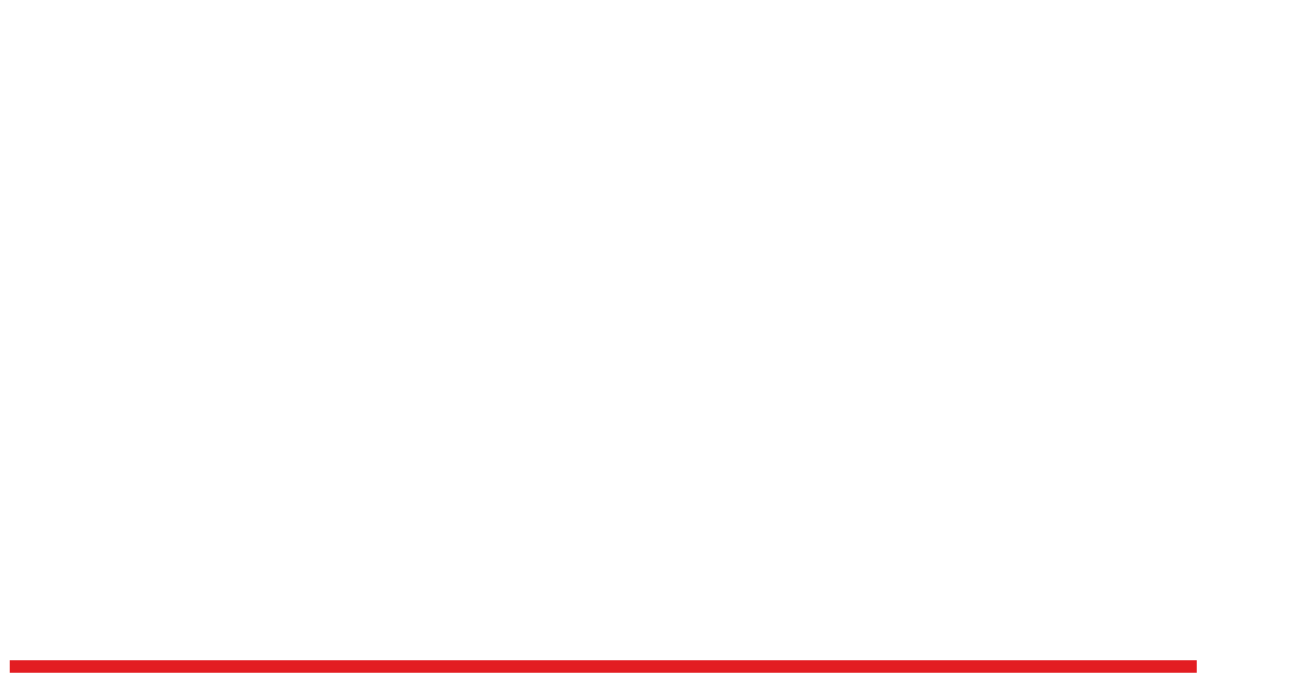 Logo Diamond Illusions white
