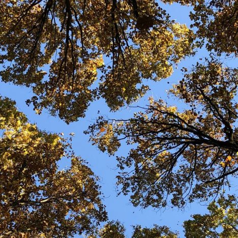 Donderdag, 19 augustus MMXXI