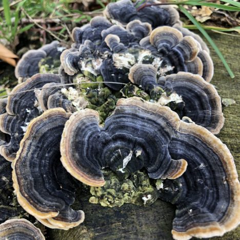 Achtentwintig euro…