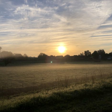 Zondag, 09 oktober 2022