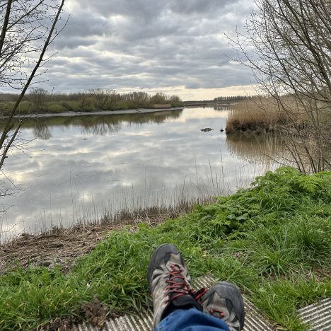 Als omkadering omklemming wordt..