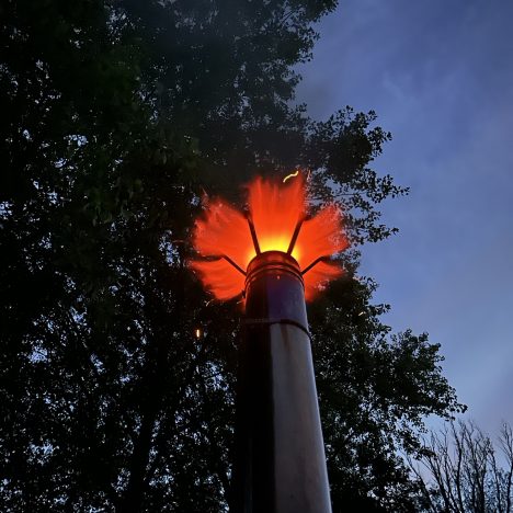 ICMe-theorie: De desillusie over de menselijke kern en de geur van de sterfput | didisdna
