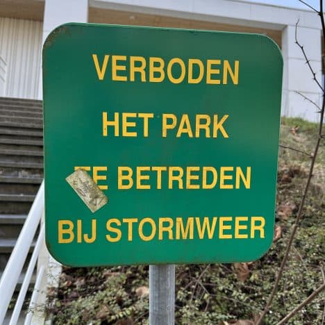 Gedachtenstromen…