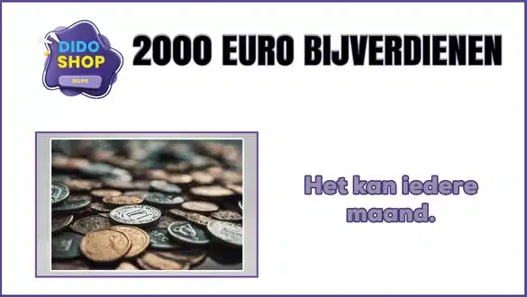 2000 Euro bijverdienen