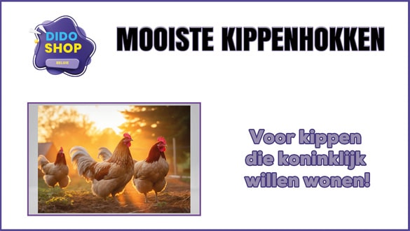 Mooiste Kippenhokken