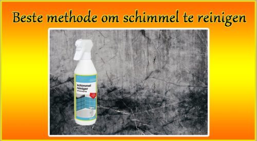 Beste methode om schimmel te reinigen