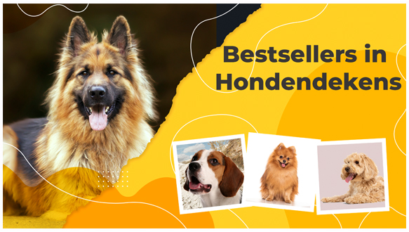 Bestsellers in Hondendekens in Artikelen over hondenbenodigdheden