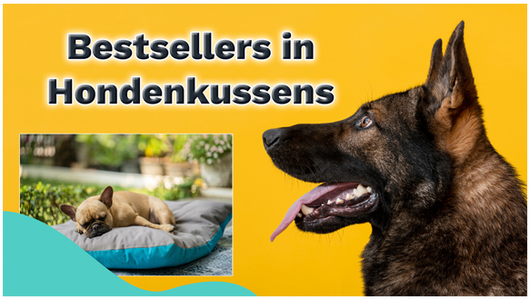 Bestsellers in Hondenkussens