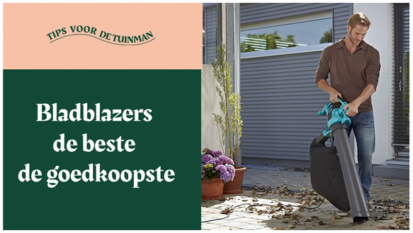 Bladblazers de beste de goedkoopste.