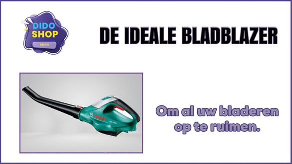 De ideale bladblazer om alle bladeren te verwijderen.