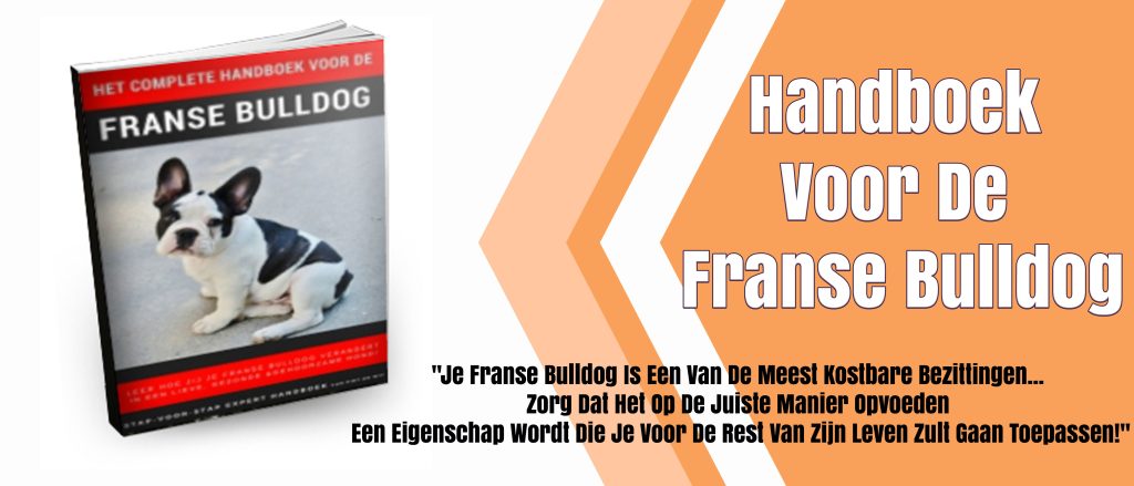 bestsellers in benodigdheden voor de hond het Franse Bulldog boek.