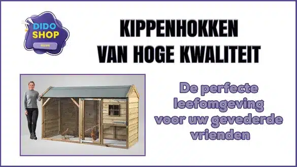 Kippenhokken van hoge kwaliteit