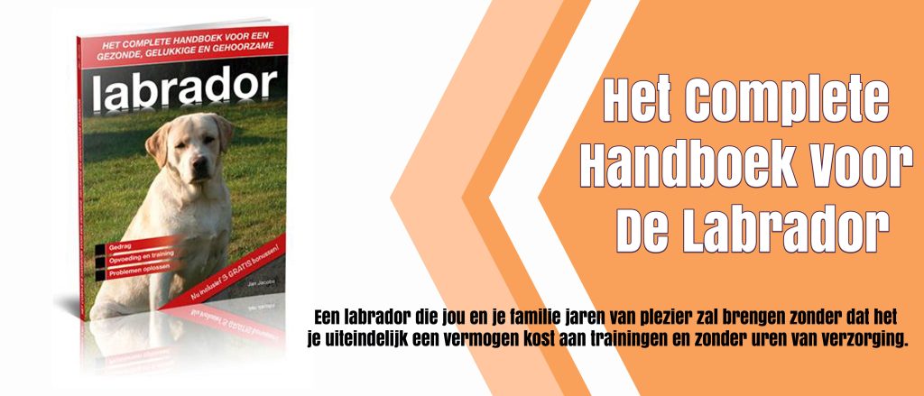 Handboek voor Labrador