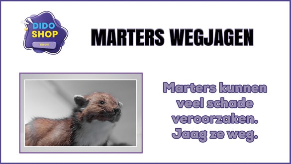 Marters wegjagen.