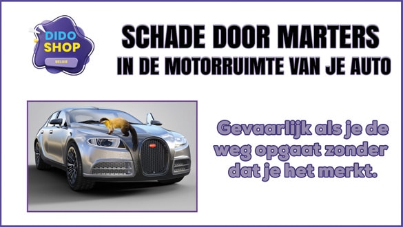 Schade door marters in de motorruimte van je auto