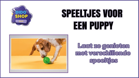 Speeltjes voor een puppy