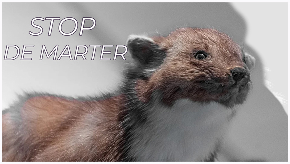 Stop de marter.