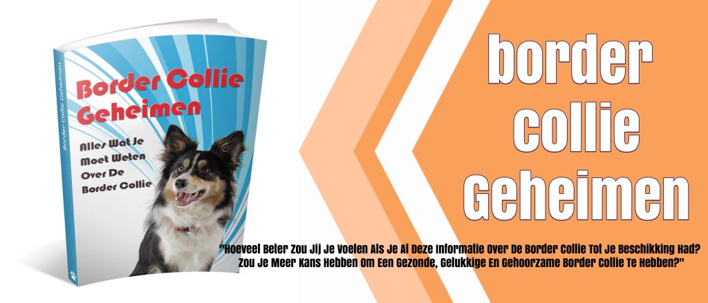 bestsellers in benodigdheden voor de hond het boek met de Border Collie geheimen.