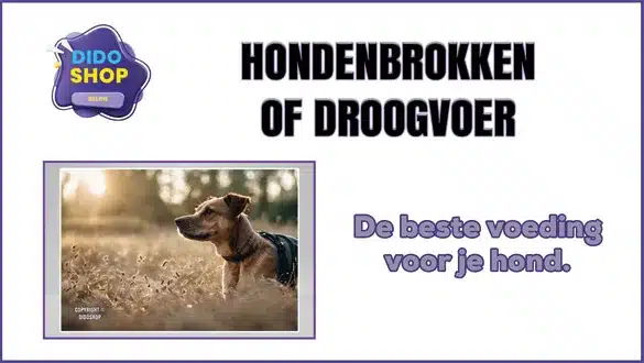 hondenbrokken of droogvoer voor honden