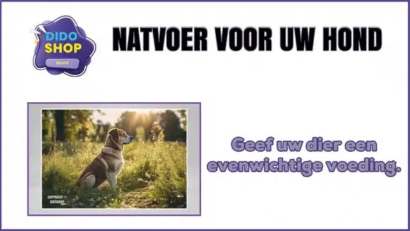 natvoer voor uw hond.