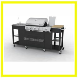 vidaXL Montana Gasbarbecue - 4 Branders - Zwart