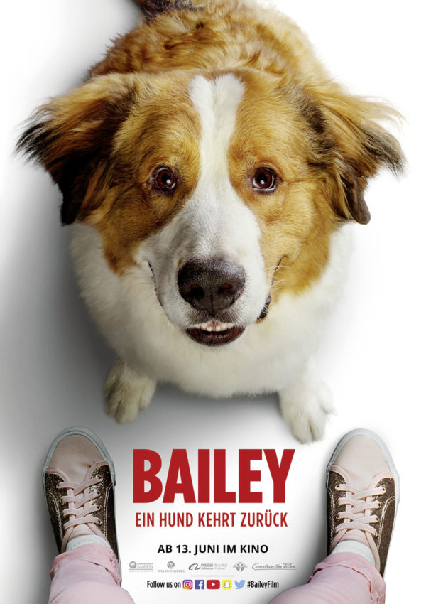 Bailey – Ein Hund kehrt zurück (2019) – Auf DVD, Blu-ray und als VoD  erhältlich