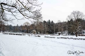 DSC_0121