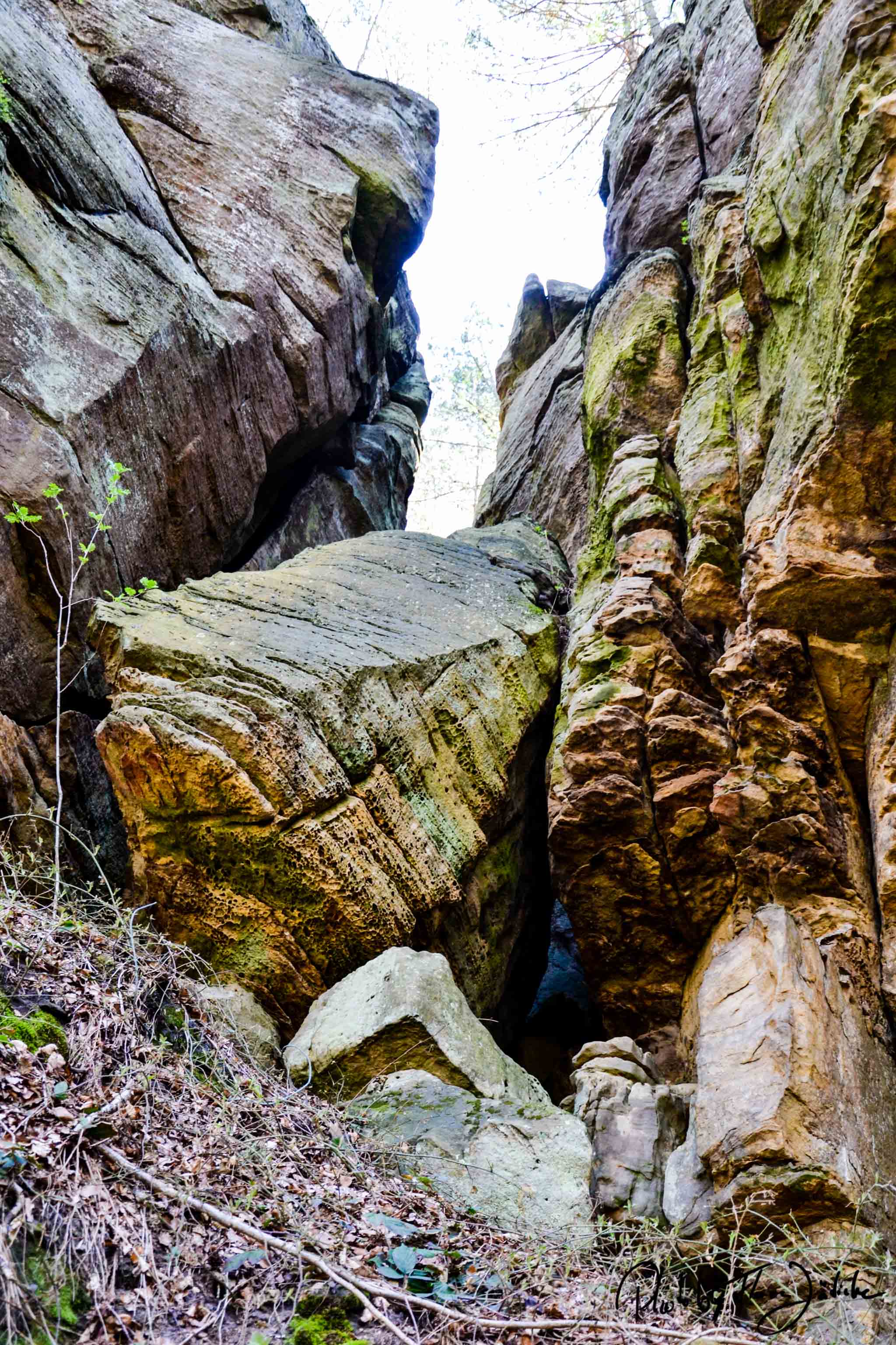 Dramatische Felsformationen auf dem Felsenweg im Naturpark Delux. Foto: Flora Jädicke
