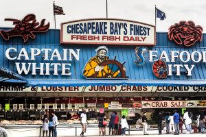 Traditionsreicher Fischmarkt an der neu gestalteten Southwest Waterfront in Washington DC. Foto: Flora Jädicke