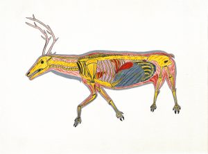 William Noah. Inuit (Baker Lake), 1943-2020. The Skeletoned Caribou, 1974. Coloured Pencil on paper. Collection of the WAG. Acquired through a grant from Hudson's Bay Oil and Gas Company LimitedWilliam Noah. Inuit (Baker Lake), 1943-2020. The Skeletoned Caribou, 1974. Coloured Pencil on paper. Collection of the WAG. Acquired through a grant from Hudson's Bay Oil and Gas Company LimitedWilliam Noah. Inuit (Baker Lake), 1943-2020. The Skeletoned Caribou, 1974. Coloured Pencil on paper. Collection of the WAG. Acquired through a grant from Hudson's Bay Oil and Gas Company Limited