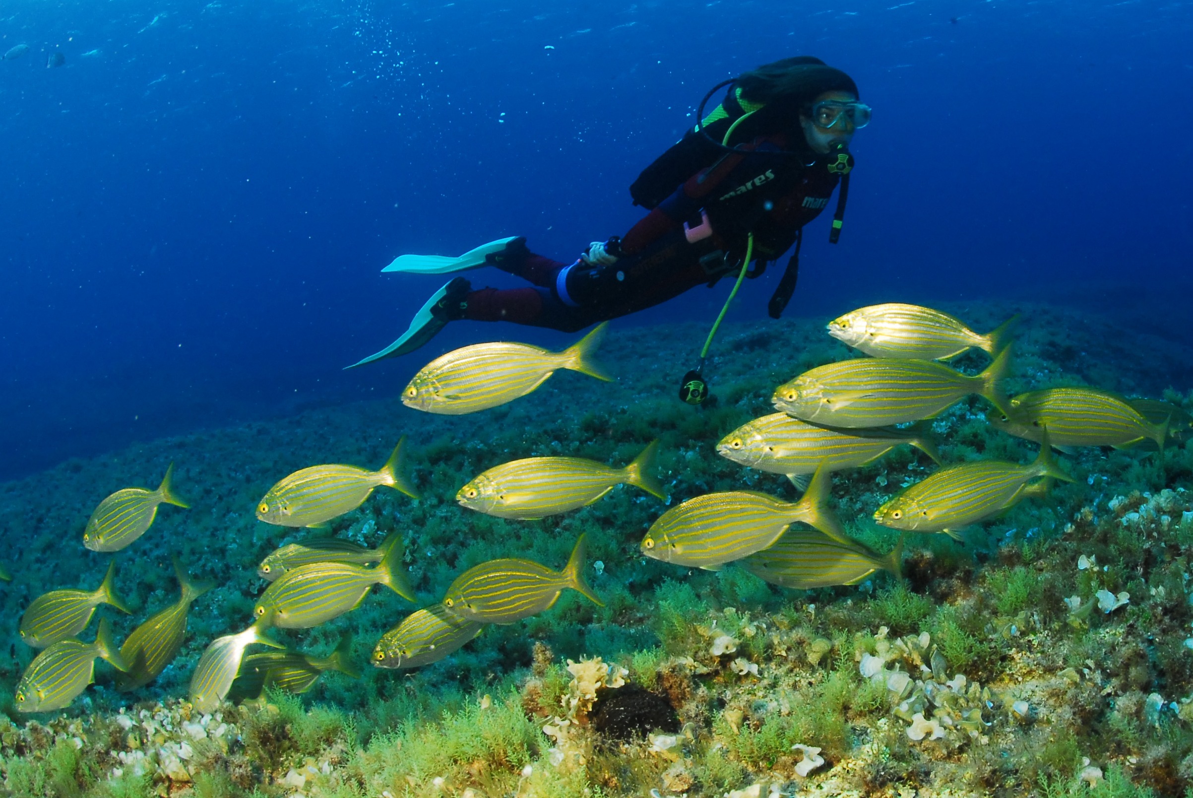 Foto: Tourismus Formentera 