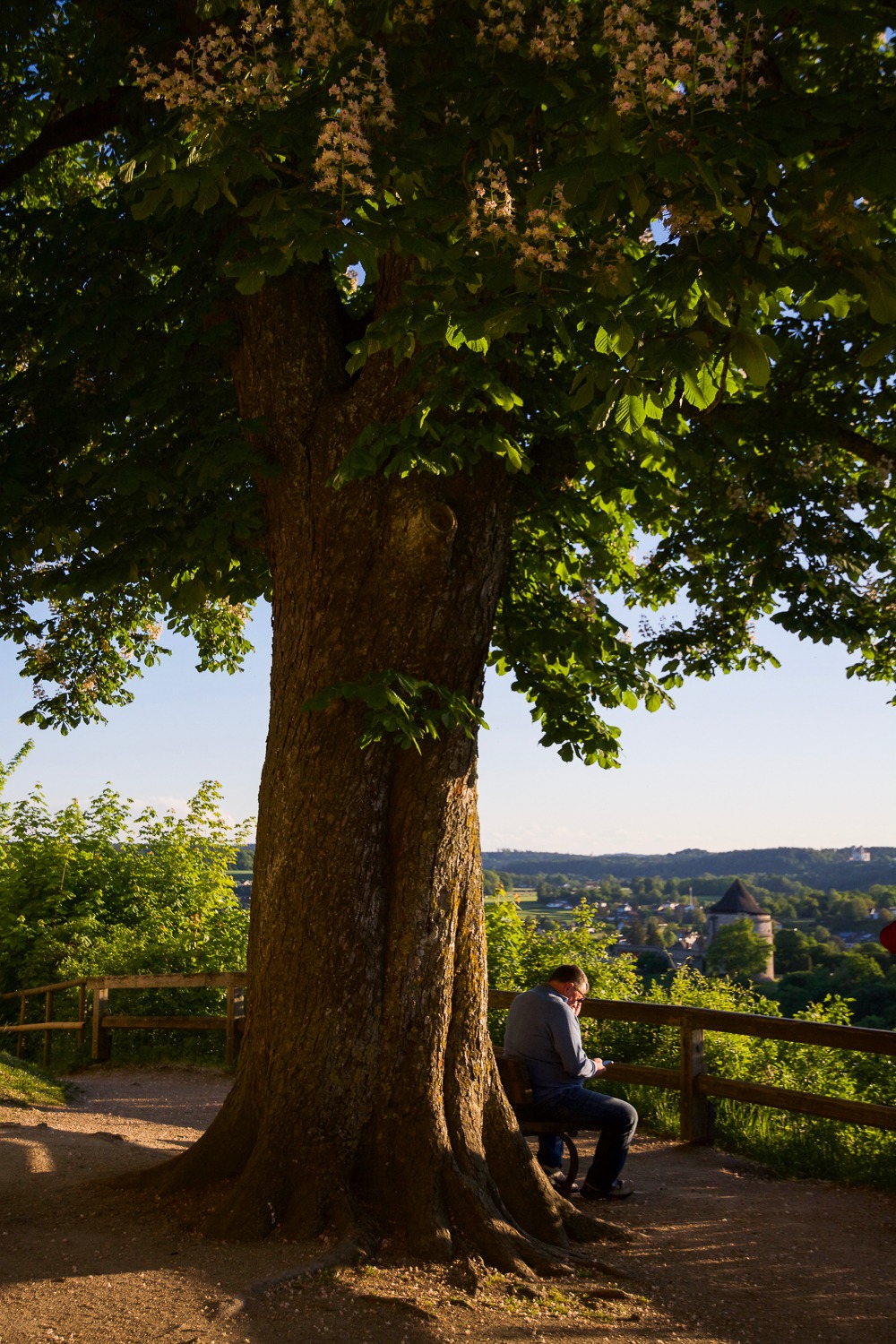 Unter Kastanien auf der Burg Burghausen. Foto: Flora Jädicke