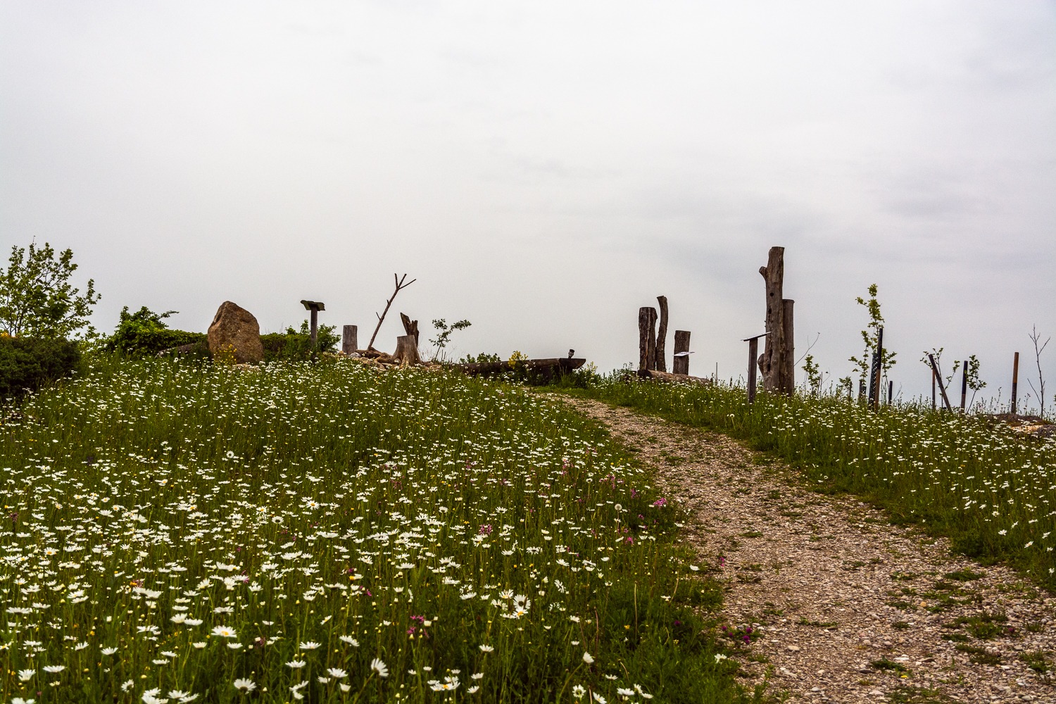 Aussichtspunkt. Foto: Flora Jädicke