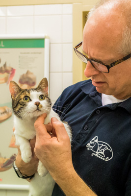 dierenkliniek den haag