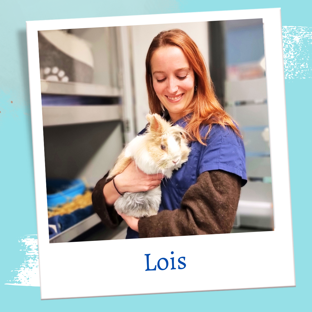 Lois Steenhorst